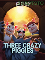 Three Crazy Piggies game cover